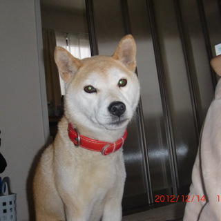 里親が見付りました☆