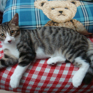 ◆超甘えん坊のストーカーちゃん♂