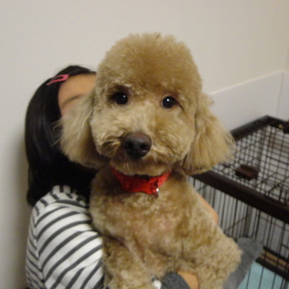 ありがとうございました