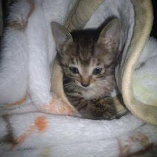 ちびちびな男の子です♪