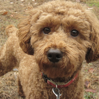 多数のご応募ありがとうございました。