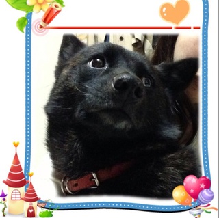 とても良い方に出会えました。