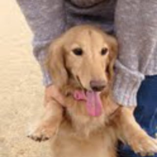 可愛がってくださる方