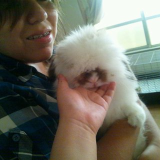 ★もこもこなウサちゃんです★