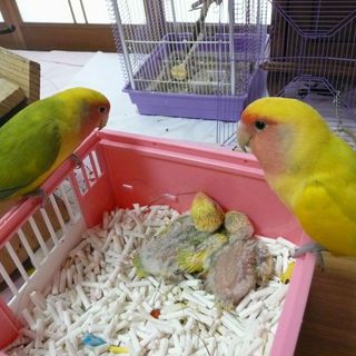 沢山のご応募本当にありがとうございました。