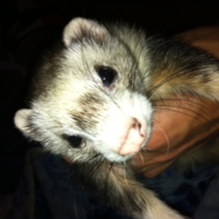 数件申し込みをいただいておりますので、一時募集終了いたします。