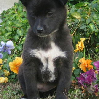 テェディちゃん