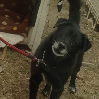 里親募集中です！