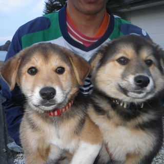 釣り場で保護しました