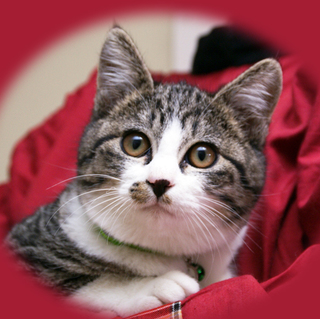 ほんわか・おっとり・ユルユル