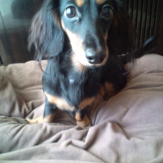 一時募集終了します。