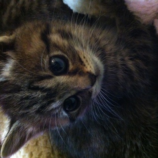 ありがとうございました！！