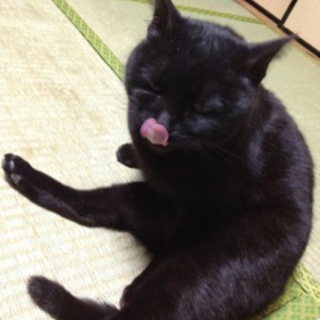 ジーナ(仮)です！よろしくお願いします☆