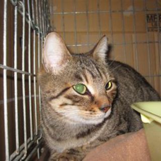 可愛すぎるミミちゃん