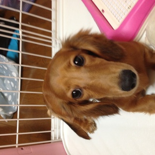 お願いします。