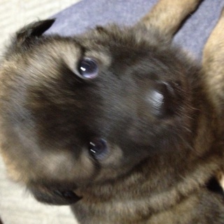 好奇心旺盛の男のコ★よく懐きます