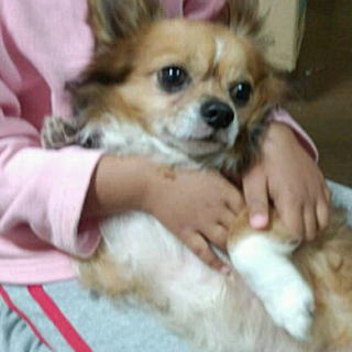 とっても人懐っこい