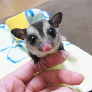 応募多数の為せっかく応募頂きました全員の方にメールを返信できませんでした。申し訳ありません。