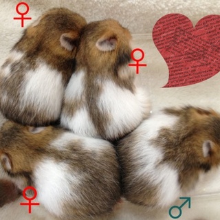 里親様決定しました！！