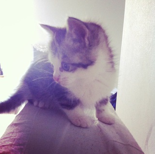 只今、一人の方とご相談中です