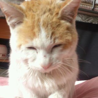 とてもお利口な子なんです(*^^*)