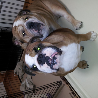 ブサイクで、メチャメチャ可愛い子の親になってください。