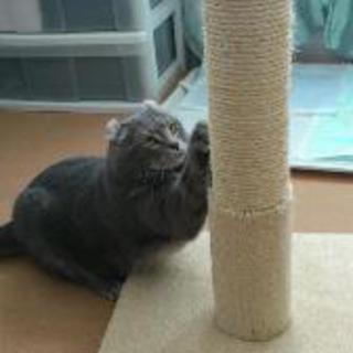 引越しにともない、急募