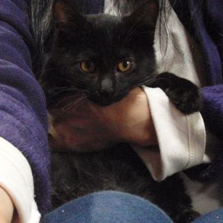 甘えん坊の男の子