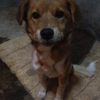 甘えん坊の女の子です☆