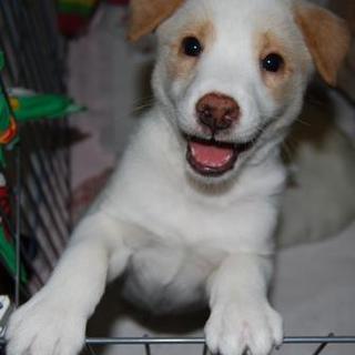 抱っこ大好きユキ