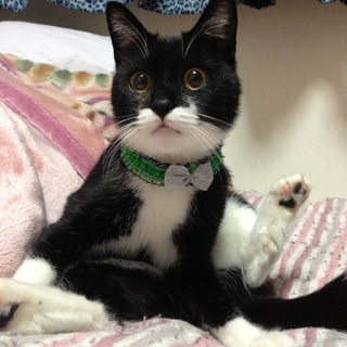 ☆家族が決まりました☆