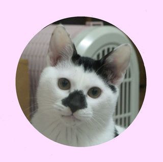 ありがとうございます