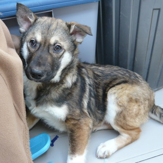 まだまだ甘えん坊です！