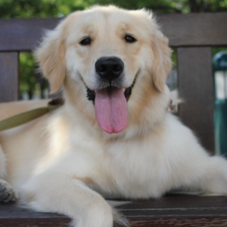 人が大好き☆3歳女の子