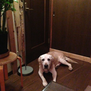 ありがとうございました。