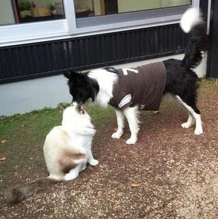 クリスマスイブ産まれ、２歳の女の子です。