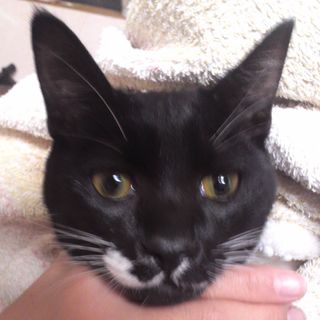 甘えん防の女の子です