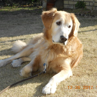 ハンサムな僕です。よろしくお願いします。