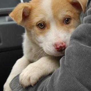 ラブミックスのエディ