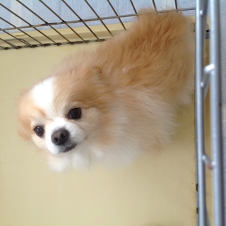 多数のお問い合わせありがとうございました。