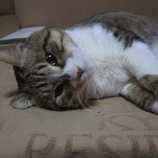 大切にしてください　ありがとうございました