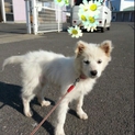 ありがとうございました。
