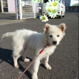 ありがとうございました。