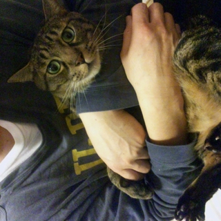 ◆飼育放棄された臆病ないじめられっ子