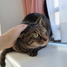 ◆飼育放棄された臆病ないじめられっ子 サムネイル5