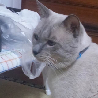 １ヶ月あずかってもらえませんか？