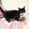 ☆家族が決まりました☆ サムネイル5