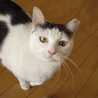 前髪パツパツ☆なCUTEな女子　2歳 サムネイル5