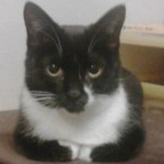 黒白ユニーク柄
