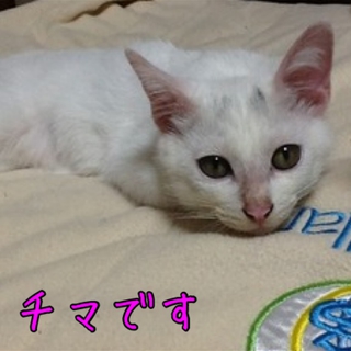 ありがとうございました